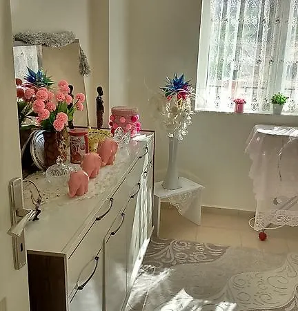 Apollon Apartment Didim